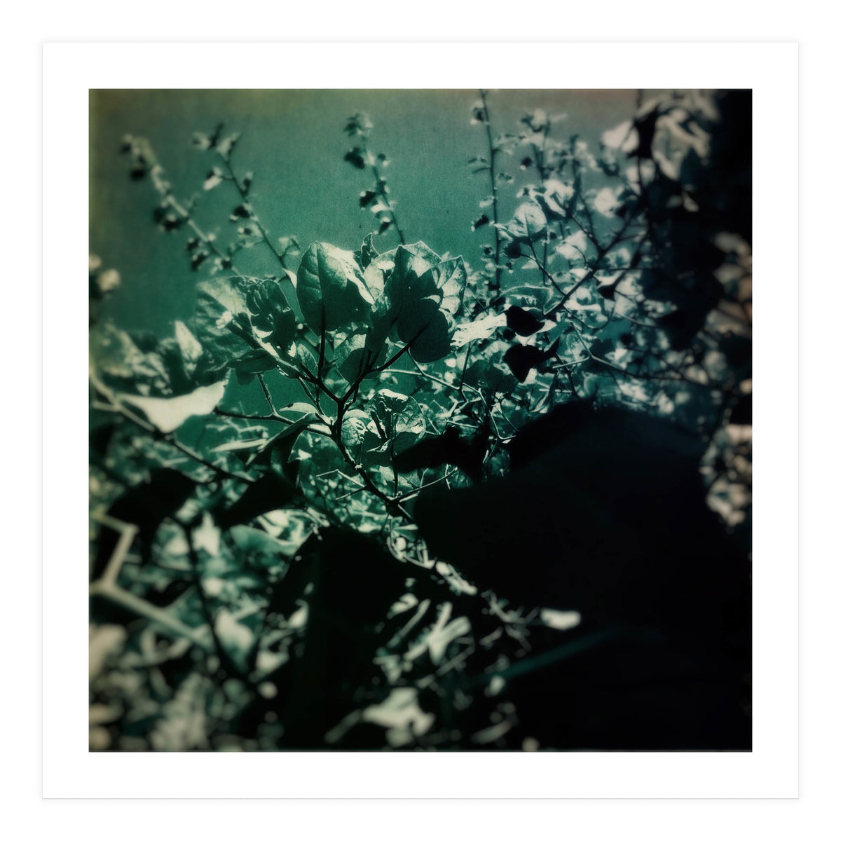 GREEN POEM (Print Only)