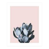 Cactus collection BL-II (Print Only) thumbnail