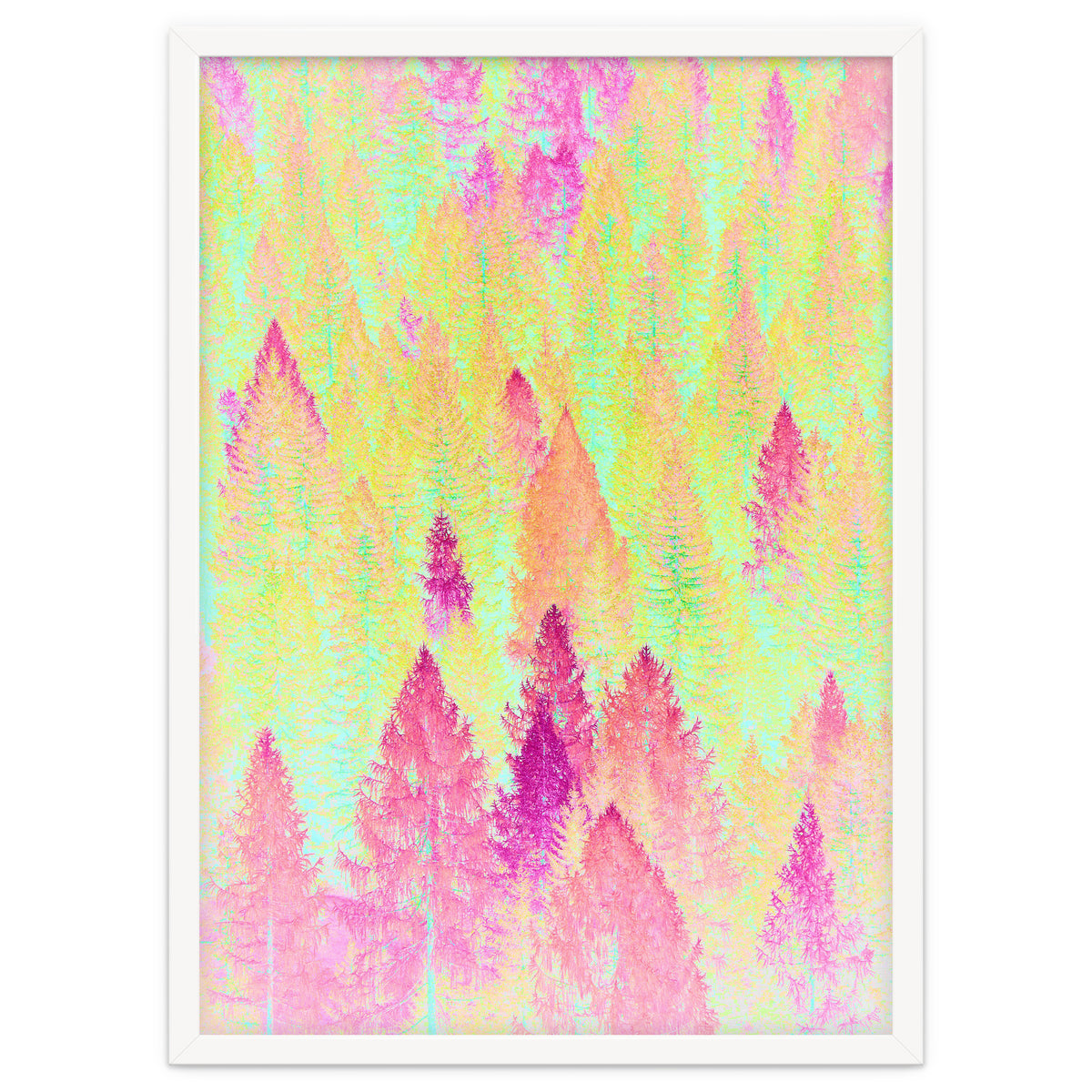 Painted Forest