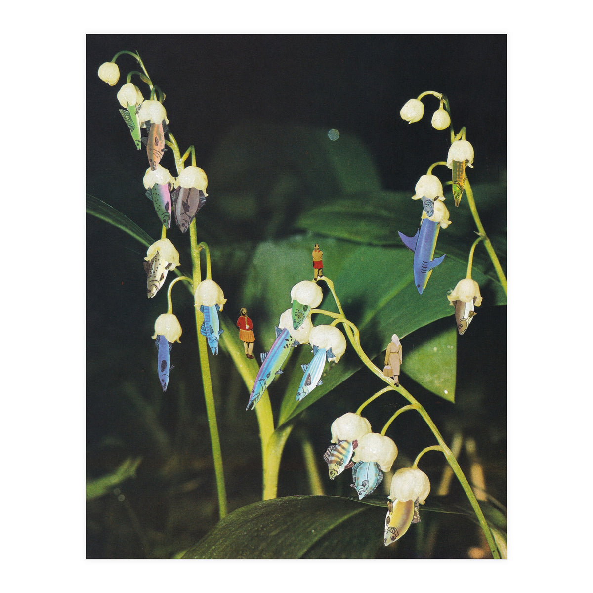 Fishflower (Print Only)