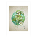 Luna Moth  (Print Only) thumbnail