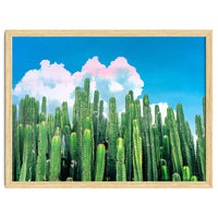 Cactus Summer