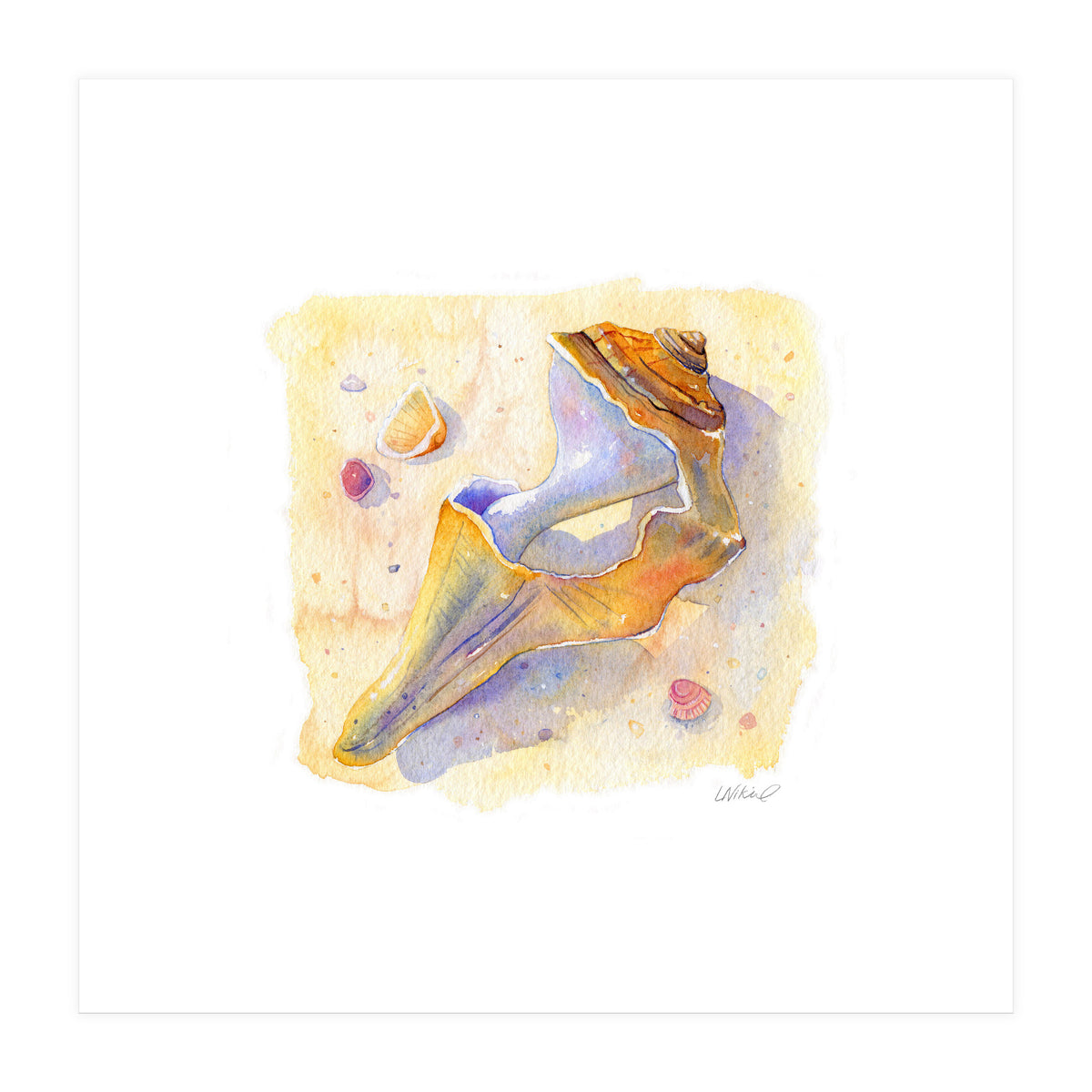 Old Shell (Print Only)