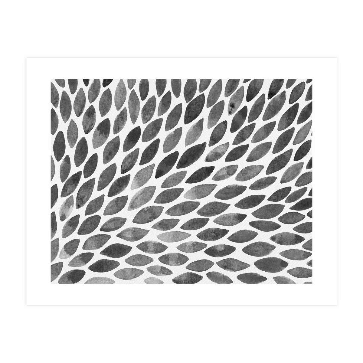 Black and white petal burst (Print Only)