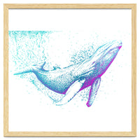 Diving Blue Whale
