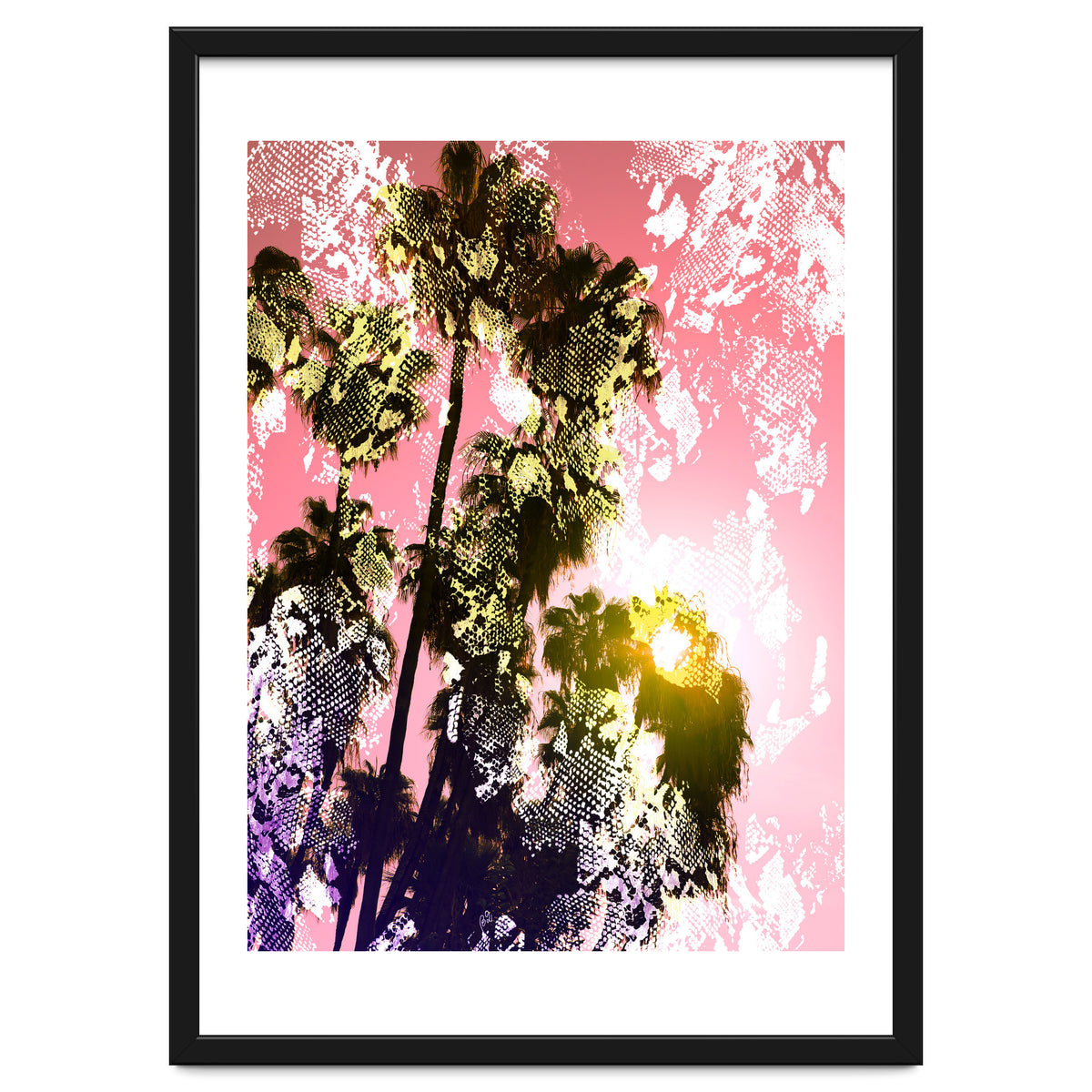 Snake sunset in paradise