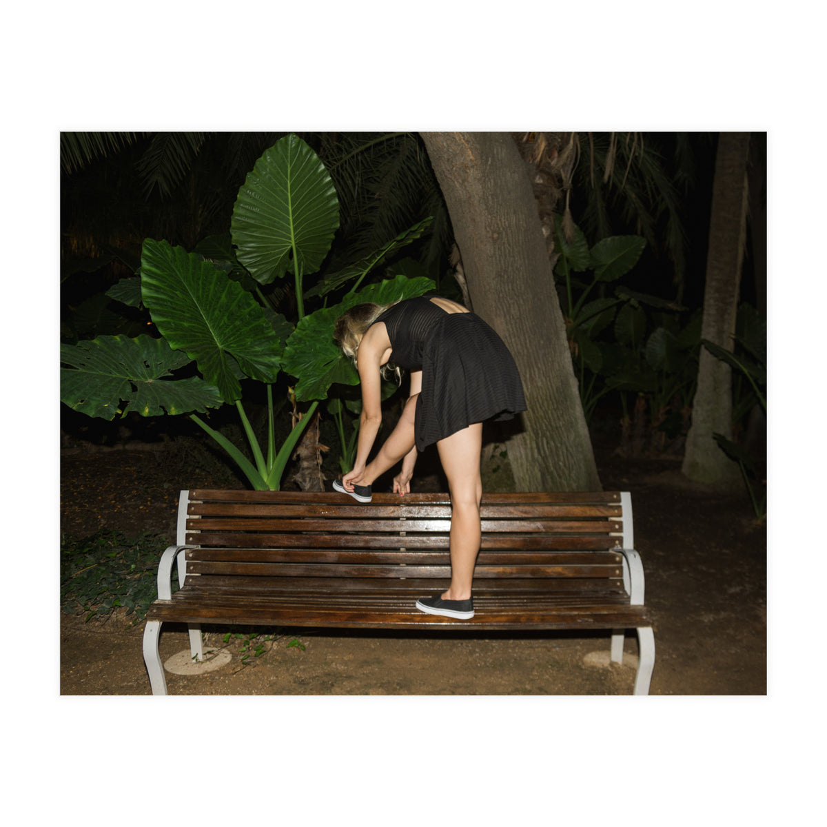 Diary of a Stalker (Print Only)