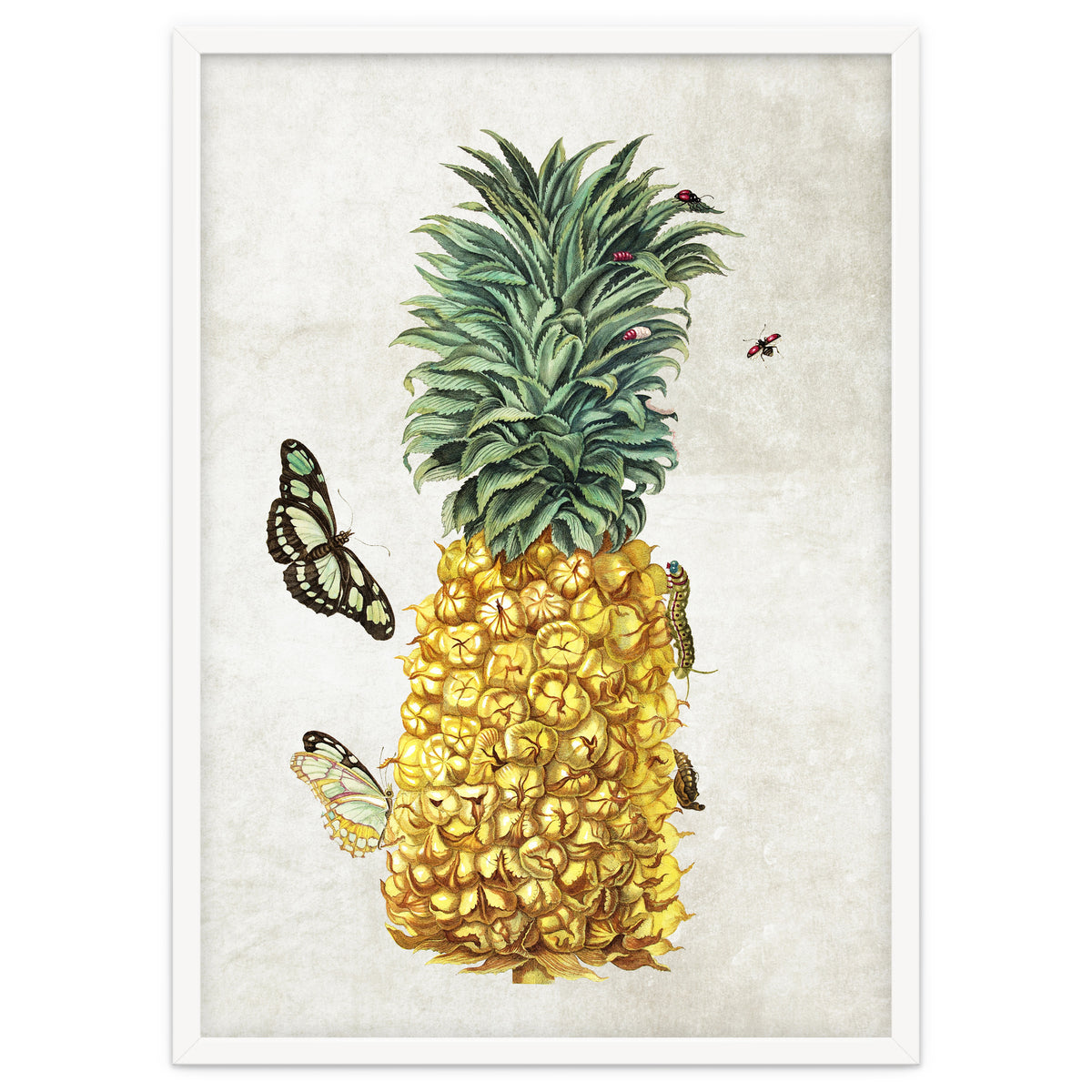 ananas