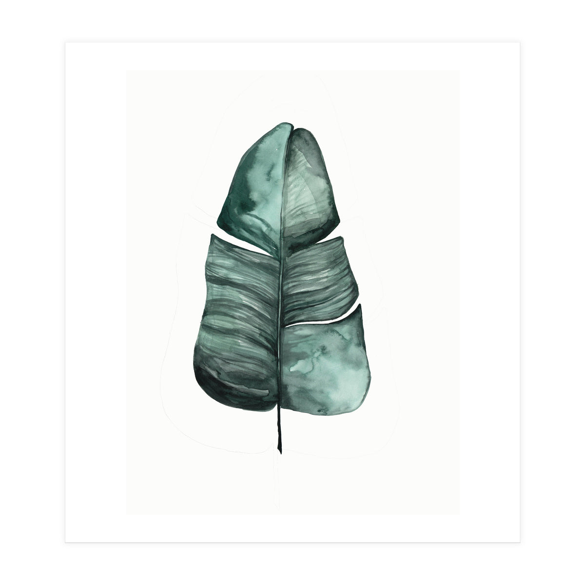 Botanical Illustration Banana Leaf (Print Only)