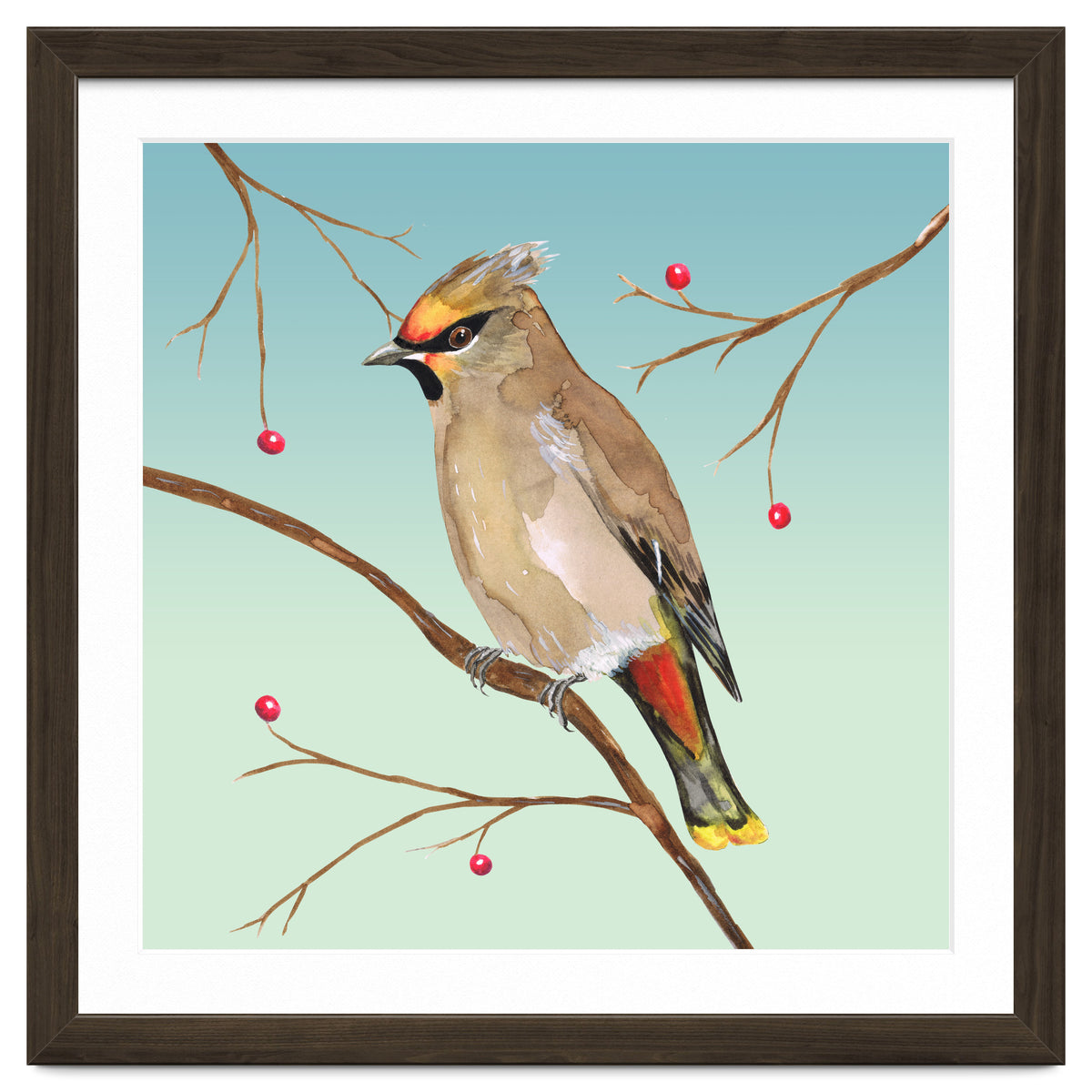 Bohemian waxwing