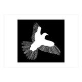 Bird Black (Print Only) thumbnail