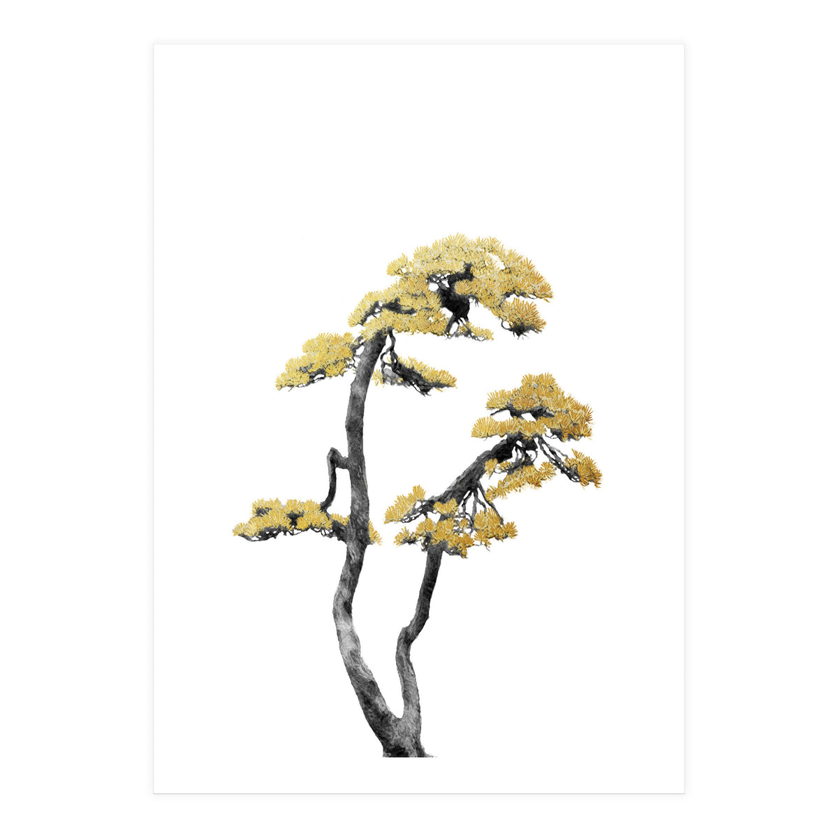 Bonsai Tree 06 (Print Only)