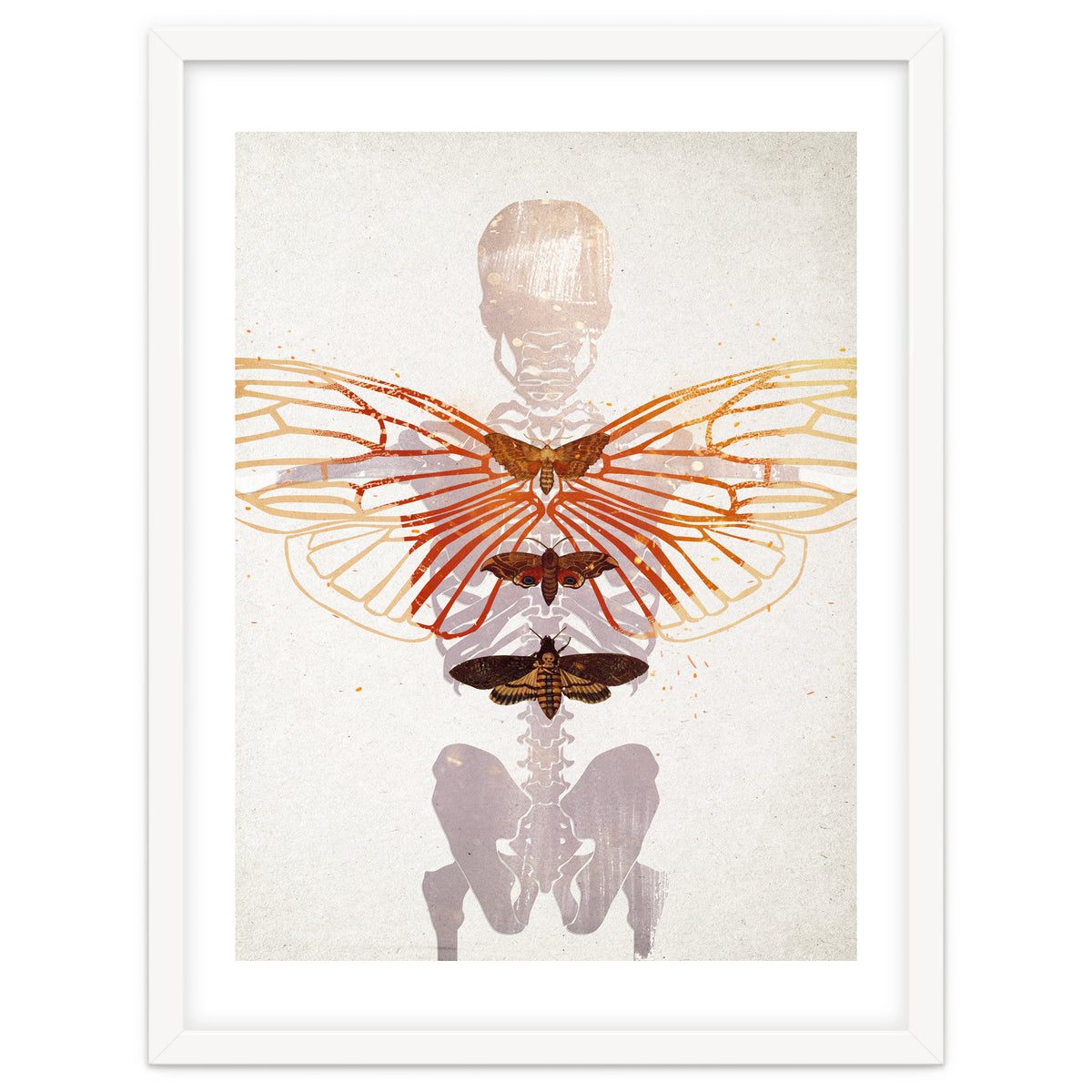 Ikarus - Like a Moth to the Flame