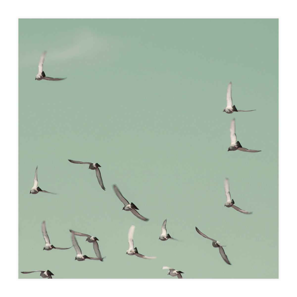 Mint Skies (Print Only)