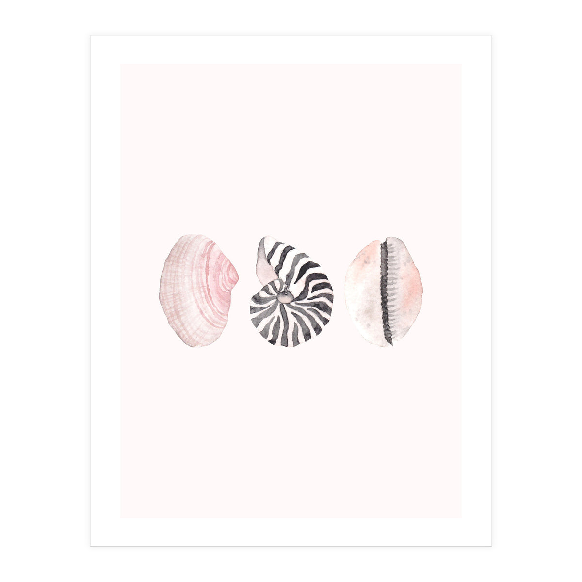 Seashells (Print Only)