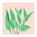 Modern Hand Painted Tropical Green Watercolor Leaf Bird Of Paradise On Pastel Pink (Print Only) thumbnail