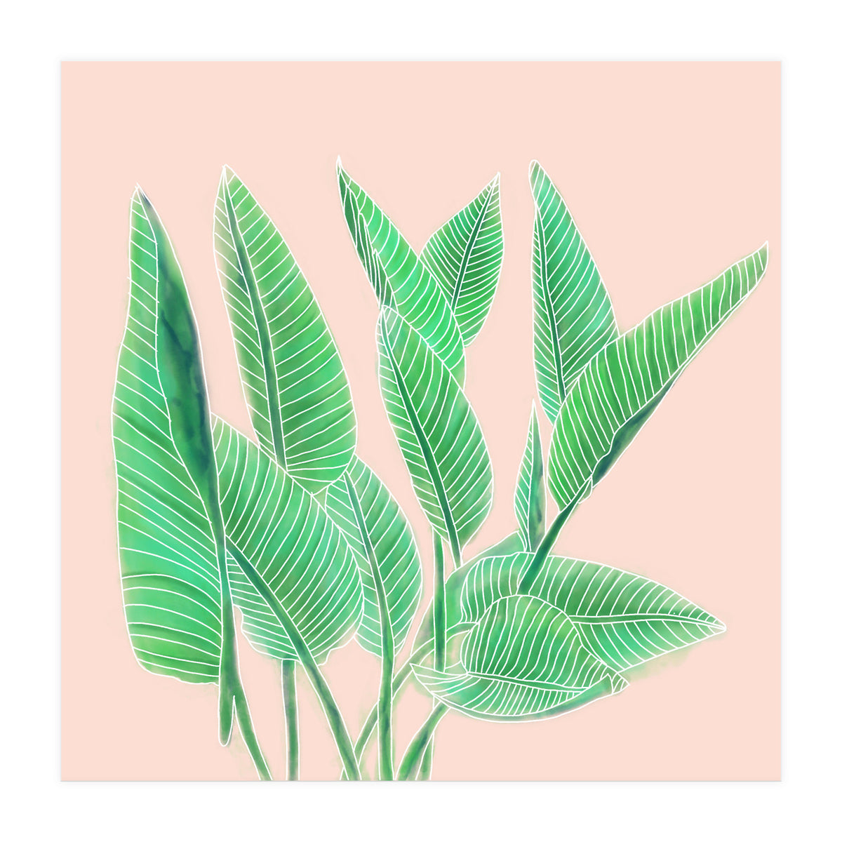 Modern Hand Painted Tropical Green Watercolor Leaf Bird Of Paradise On Pastel Pink (Print Only)