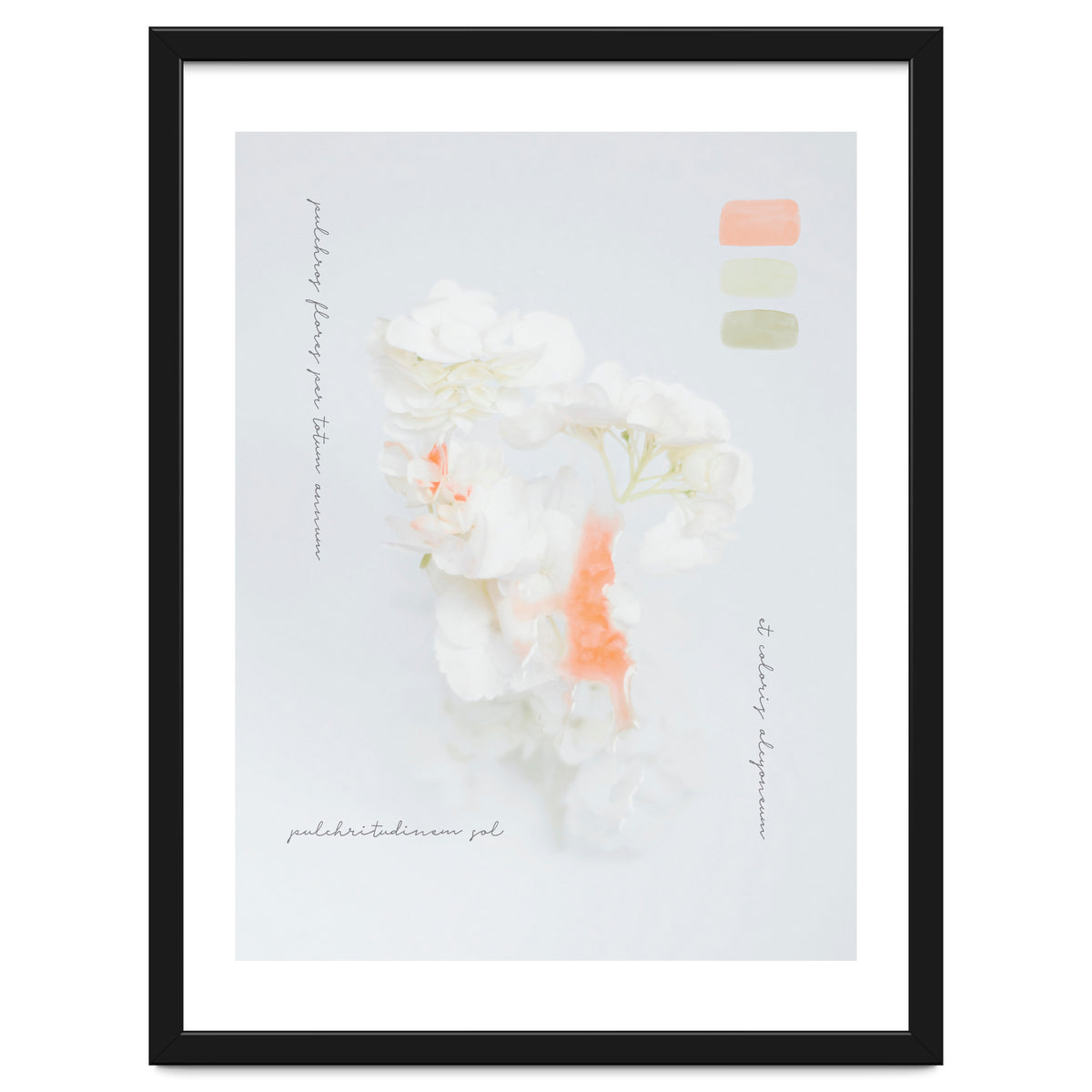 Modern Vintage Botanic