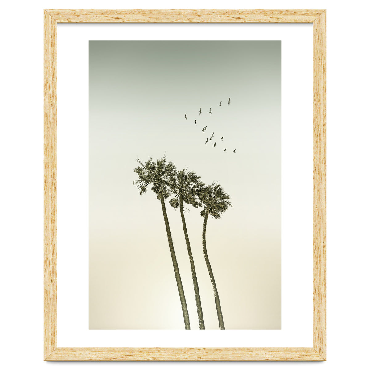 Vintage palm trees at sunset