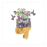 Vintage Camera (Print Only) thumbnail