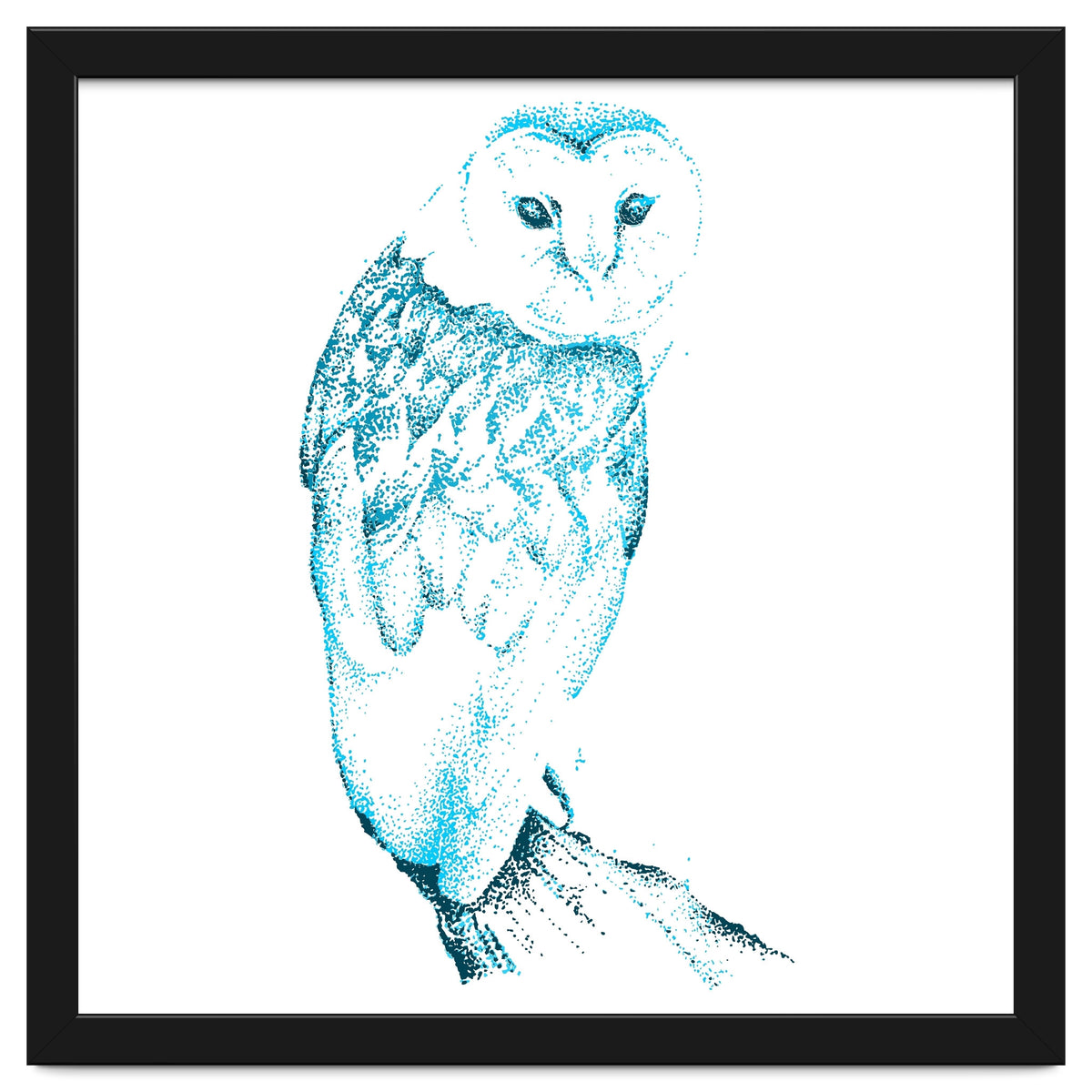 Barn Owl in Teal