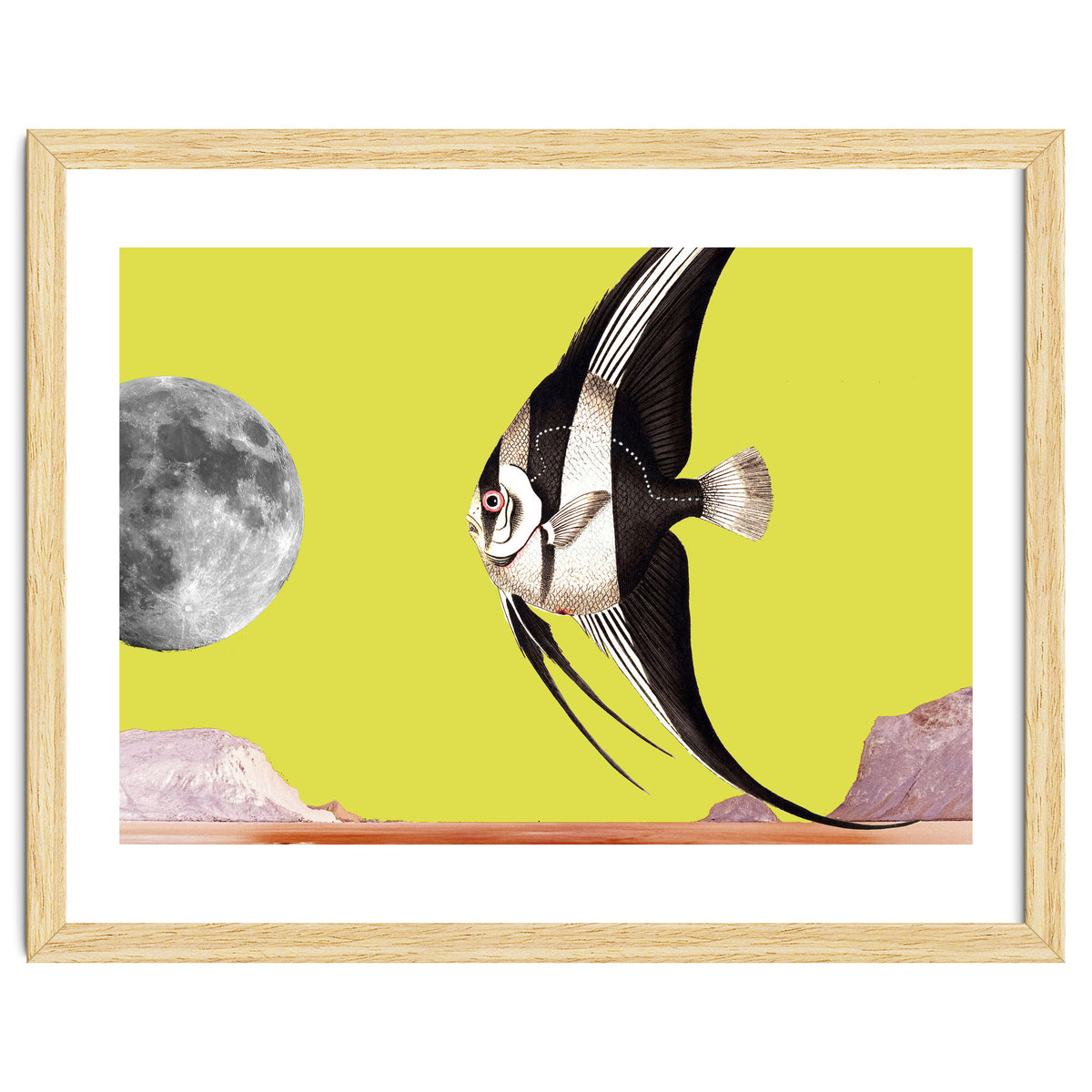 Plenty of fish in the sea yellow