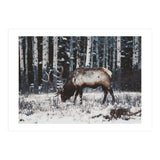 animal print (Print Only) thumbnail
