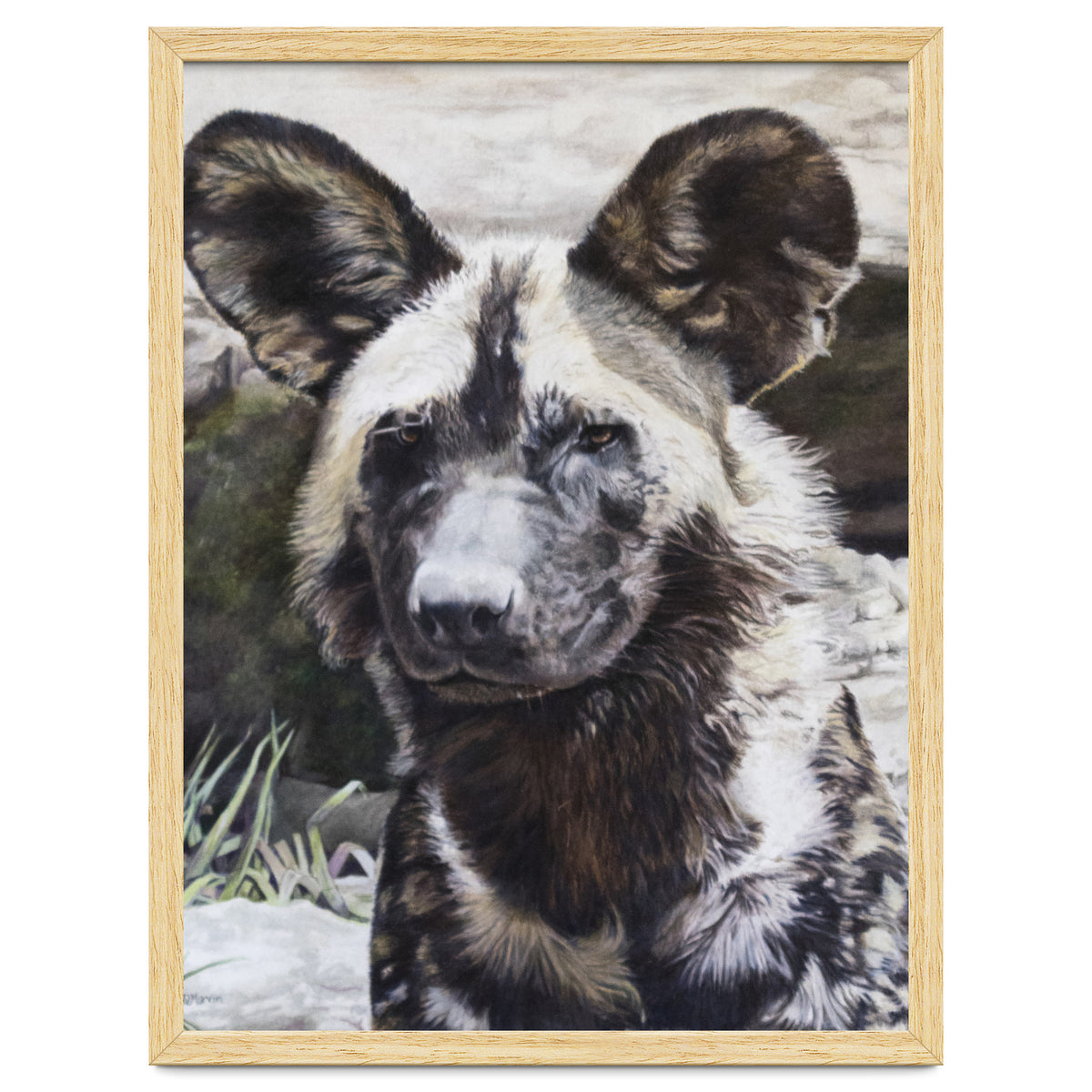African Painted Dog II