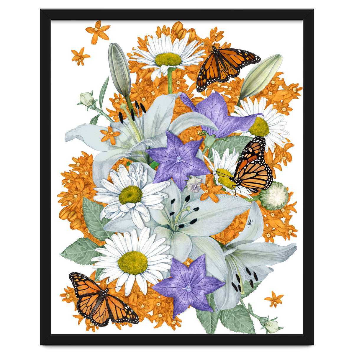 Lillies and Monarchs