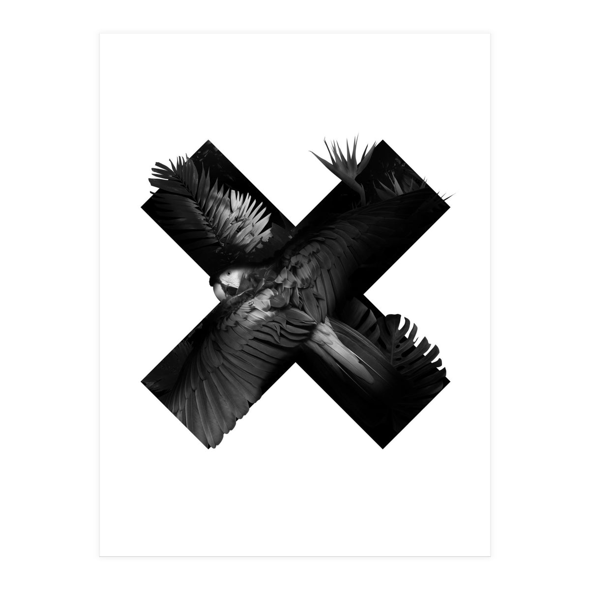 exotic nature (Print Only)