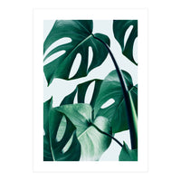 Monstera (Print Only)