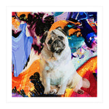 Zycko Color Dog 2 (Print Only) thumbnail