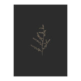 Dainty Botanicals in Gold and Black (Print Only) thumbnail