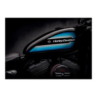 Harley Davidson Detail (Print Only)