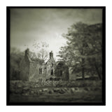 Gesto House (Print Only) thumbnail