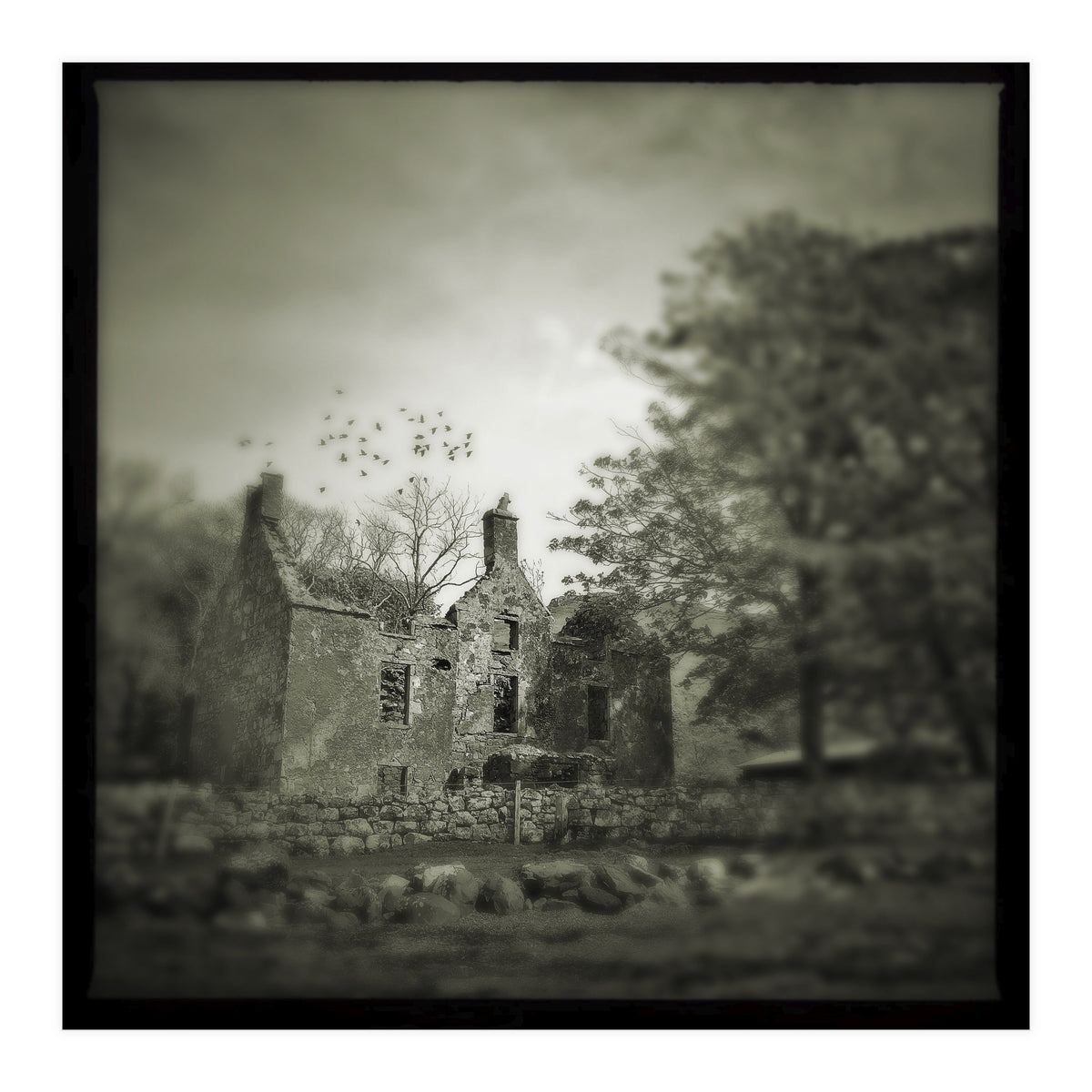 Gesto House (Print Only)