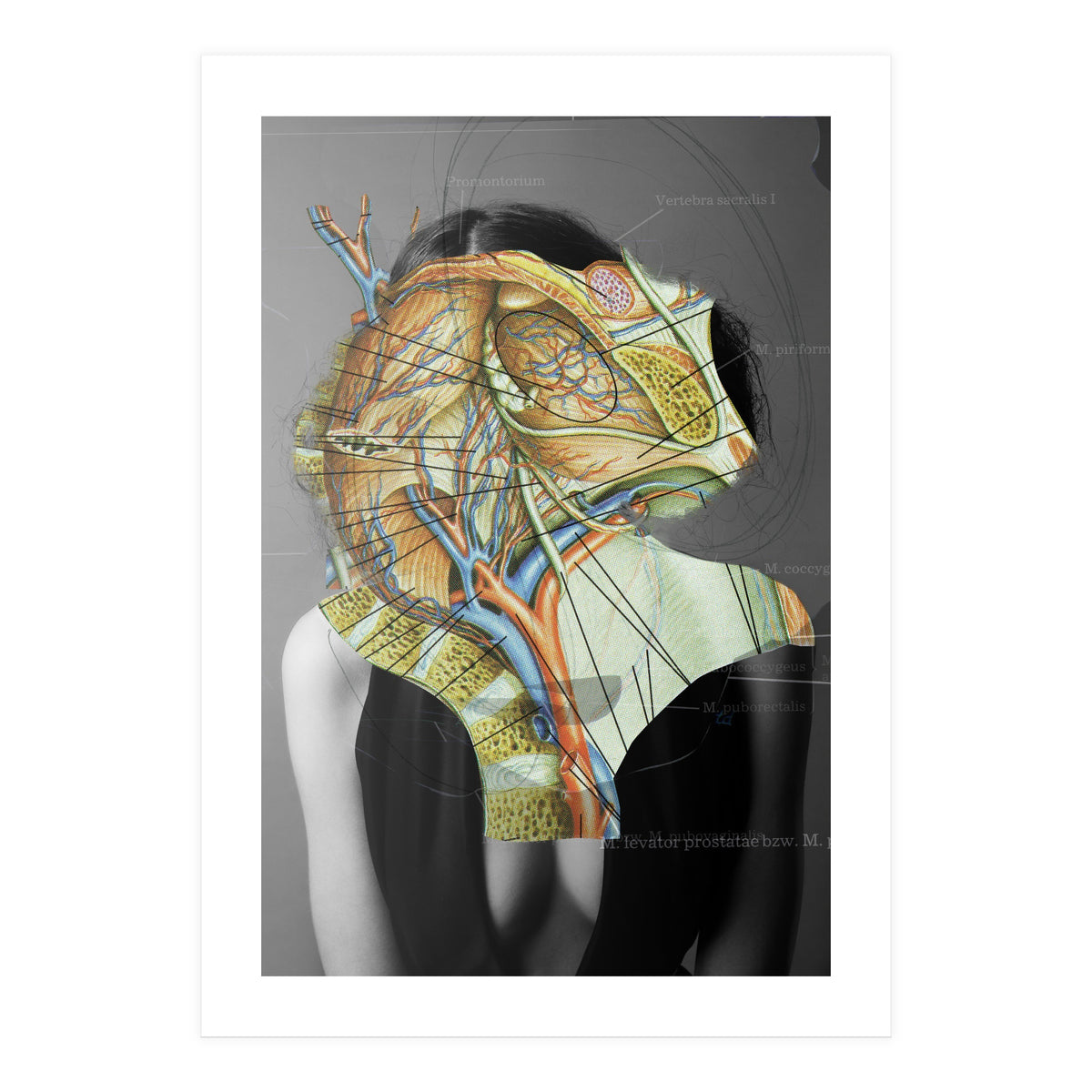 Crazy Woman 210 (Print Only)