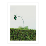 Urban Plant (Print Only) thumbnail