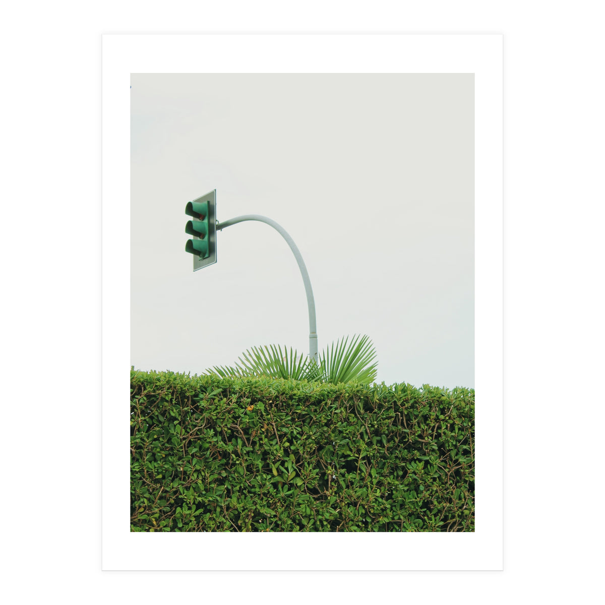 Urban Plant (Print Only)