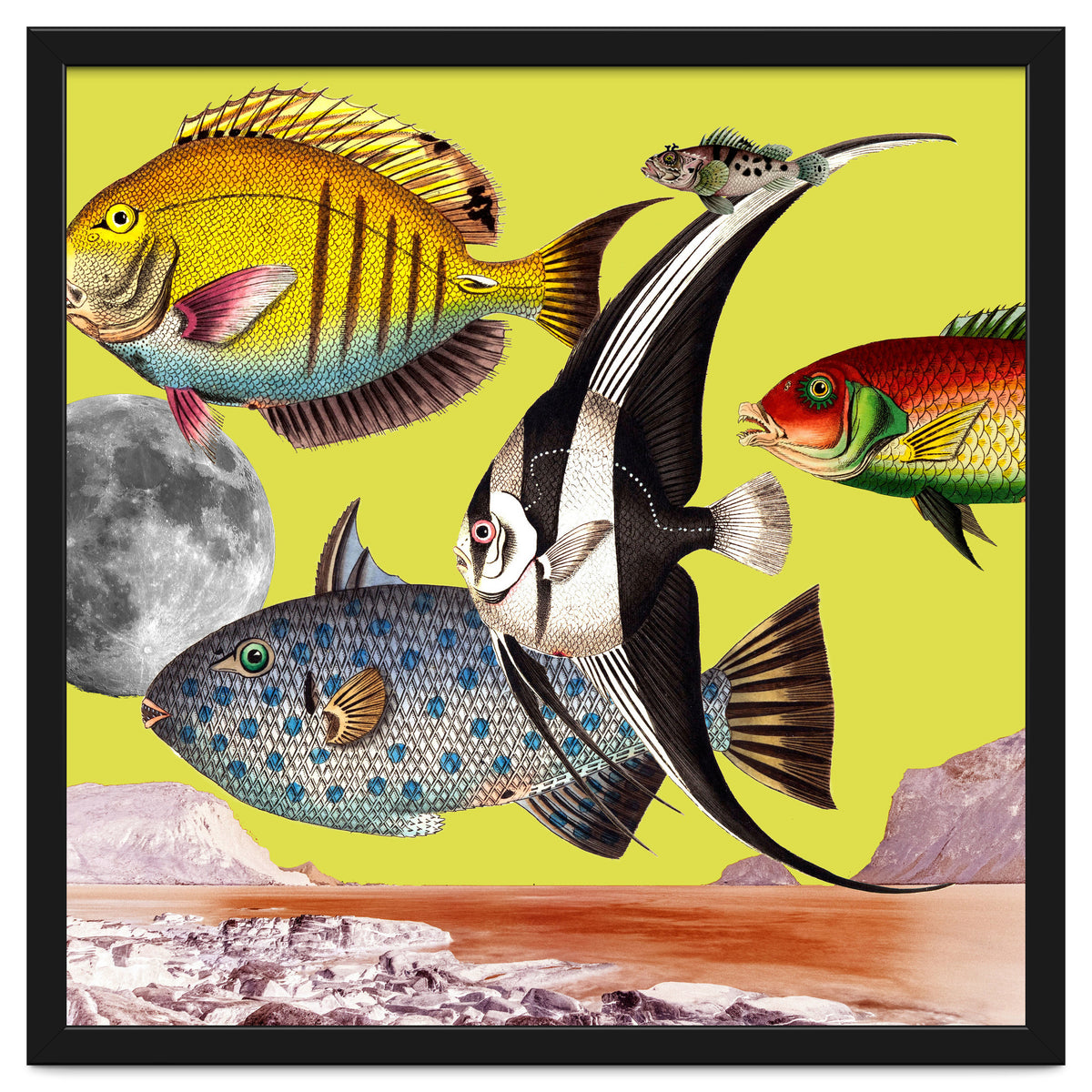 Plenty Of Fish In The Sea Yellow