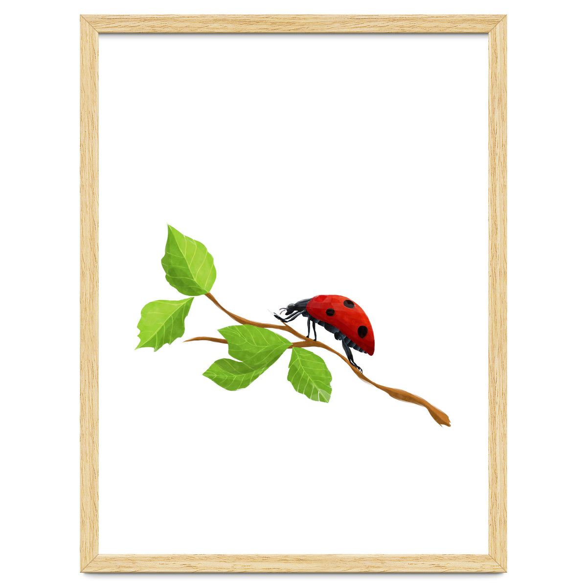 Ladybug
