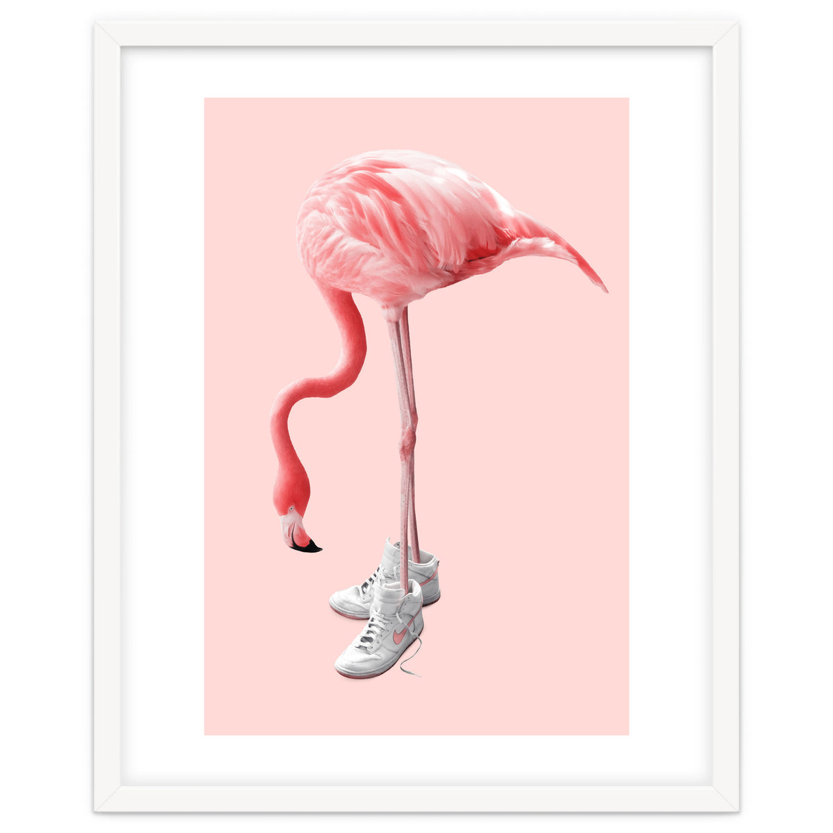 Sneaker Flamingo