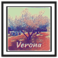 Olive Tree In Verona