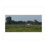 Freedom (Print Only) thumbnail