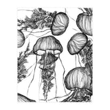jellyfish (Print Only) thumbnail