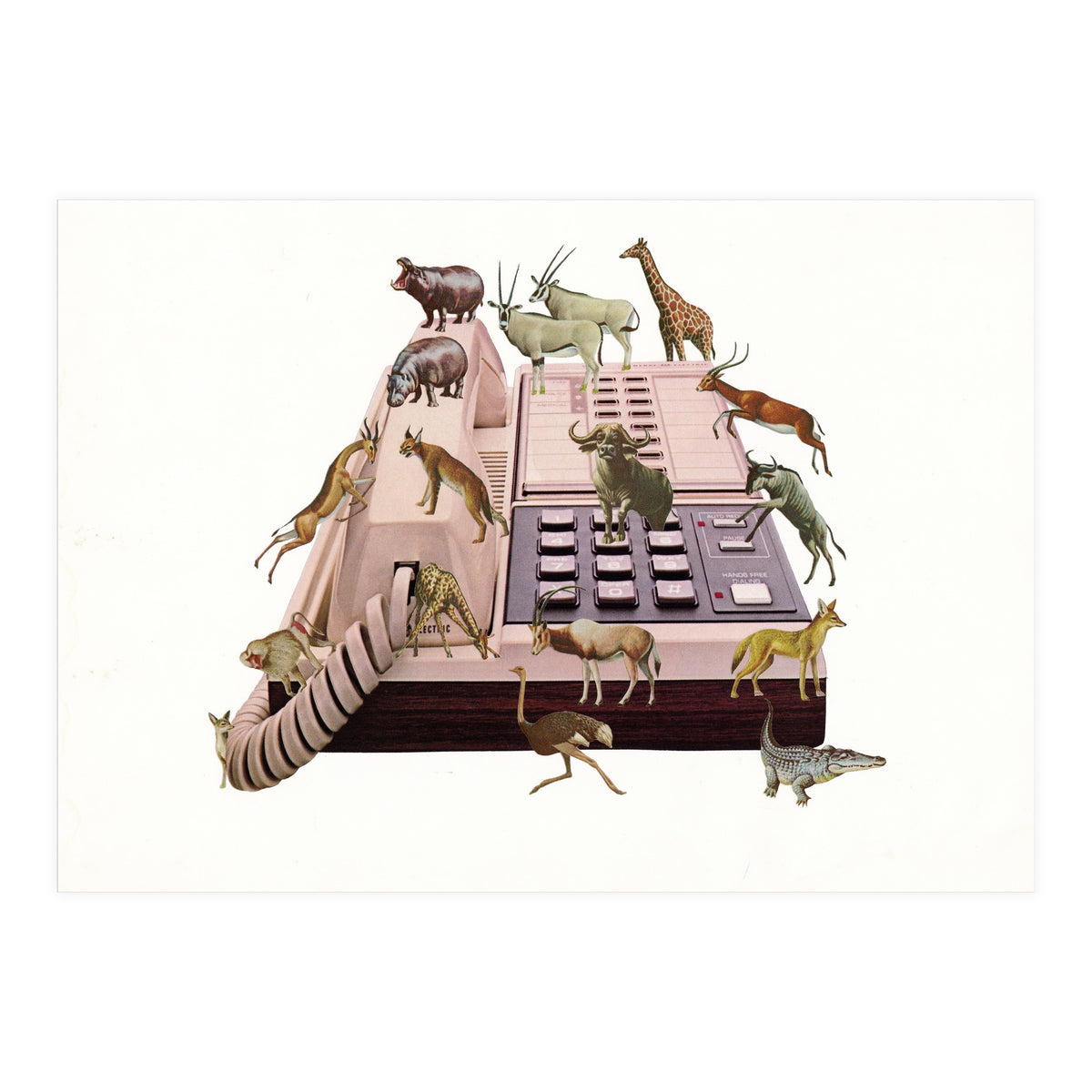 Wild Office (Print Only)