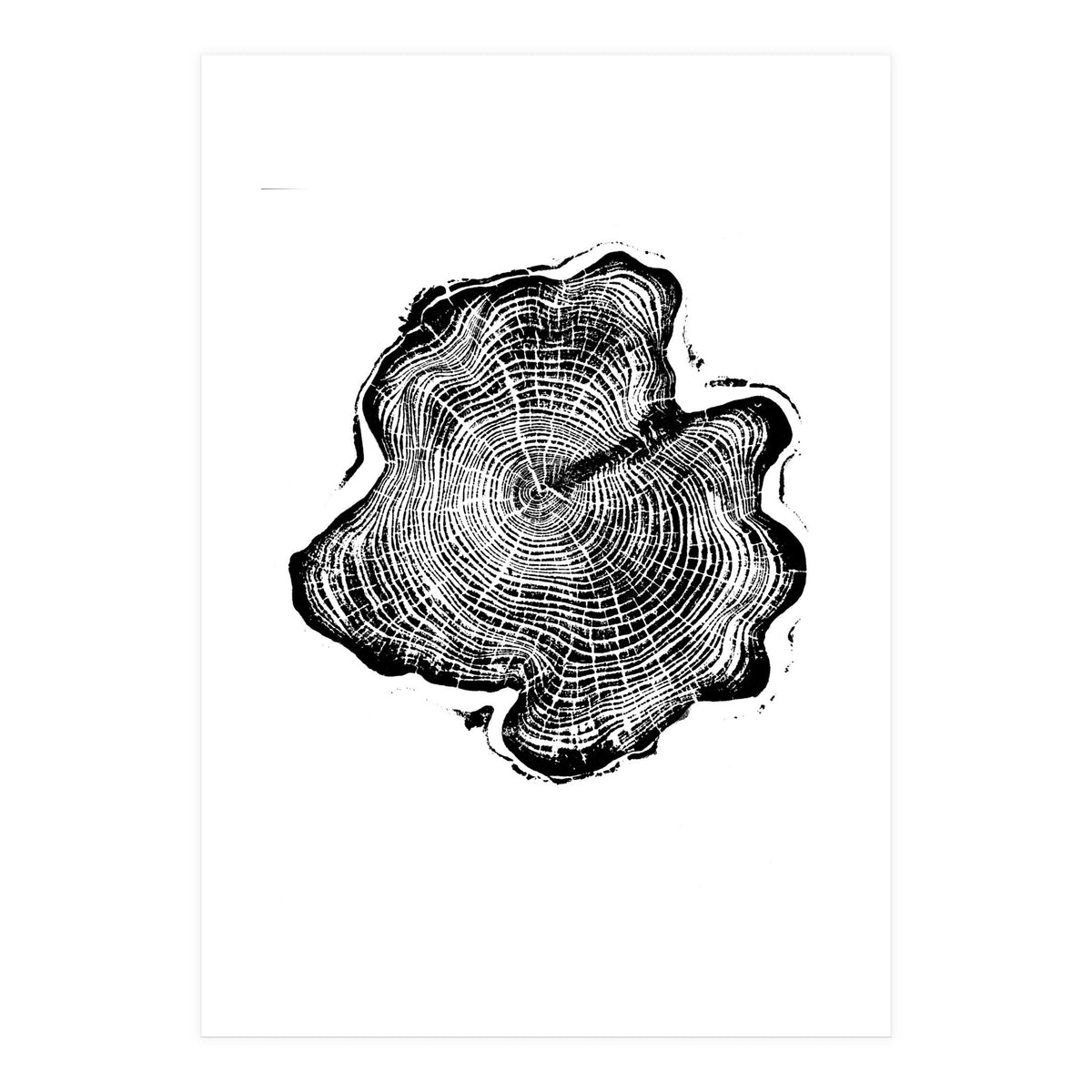 Alaskan Cypress, Tree Ring Art Print, Woodblock (Print Only)