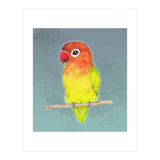 Cute yellow Fischer's lovebird (Print Only) thumbnail