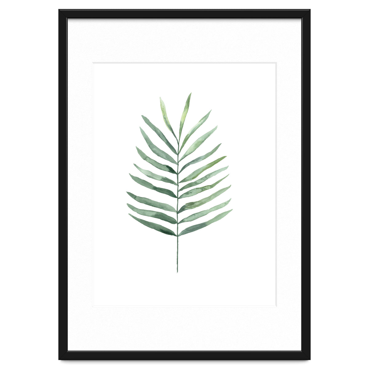 Botanical Illustration Fern