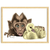 Monkey and Duckling